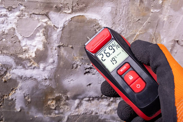 Best Attic Mold Removal  in Winter Gardens, CA