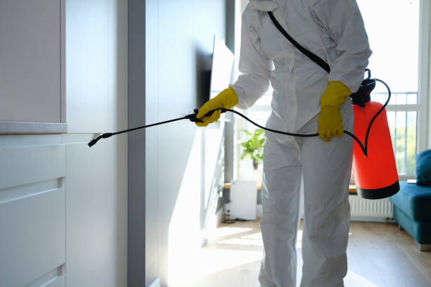 Professional Mold Removal in Winter Gardens, CA