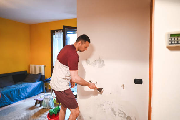 Mold Removal and Inspection in Winter Gardens, CA